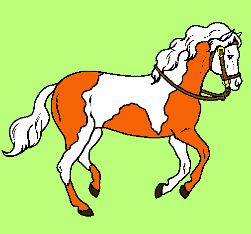 Caballo 5