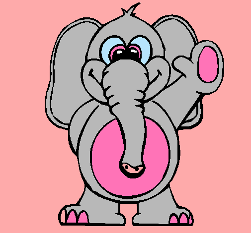 Elefante 2