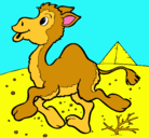 Dibujo Camello pintado por micaelas