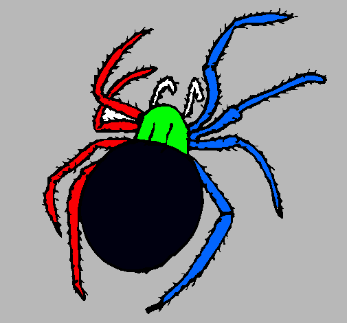 Araña venenosa