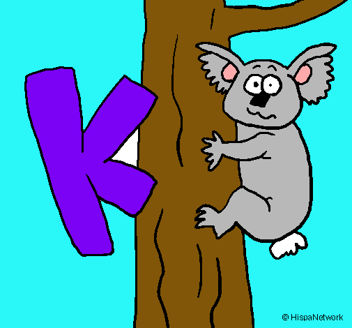 Koala