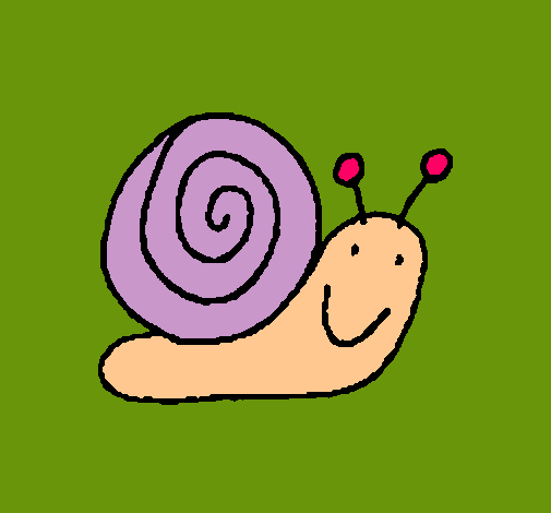 Caracol 4