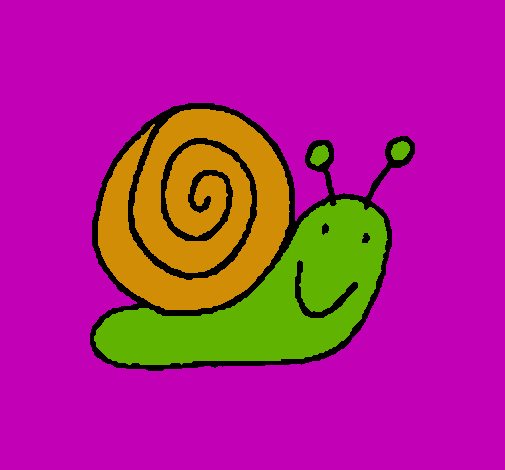 Caracol 4