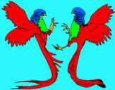 Dibujo Aves con largas colas pintado por papagayo