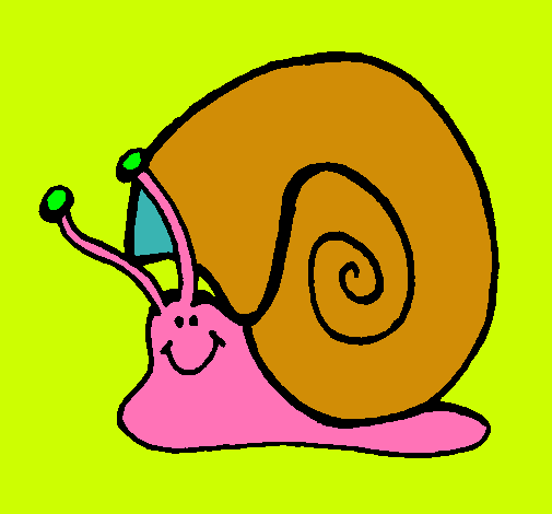 Caracol 