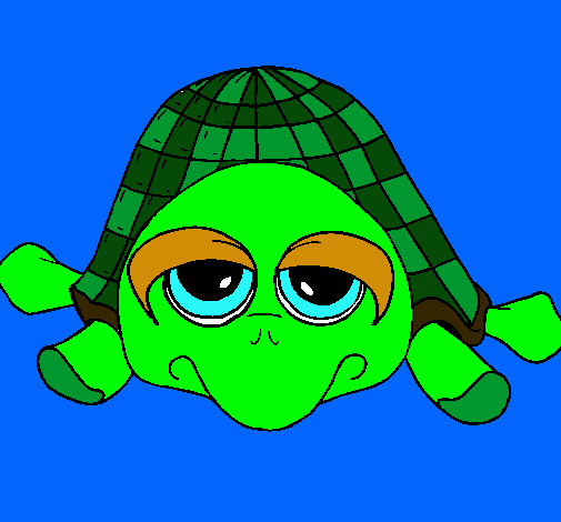 Tortuga