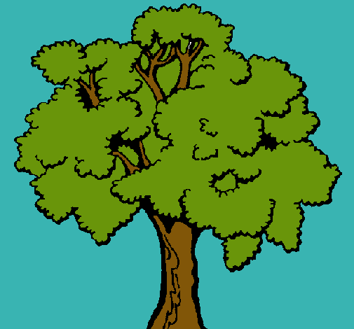 Árbol