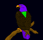 Dibujo Águila en una rama pintado por critina