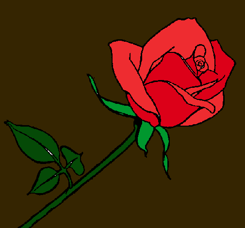 Rosa