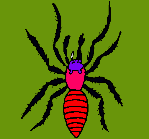 Araña tigre