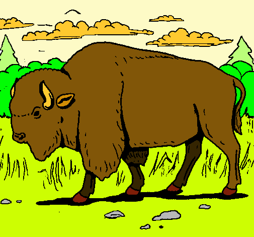 Dibujo Búfalo  pintado por Mall 