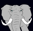 Dibujo Elefante africano pintado por michelleee