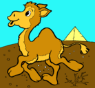 Dibujo Camello pintado por dairynne 