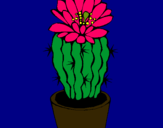 Dibujo Cactus con flor pintado por Adelpho