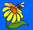 Dibujo Margarita con abeja pintado por kiry