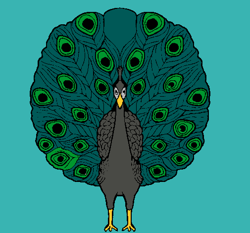 Pavo real