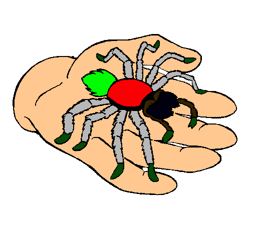 Tarántula