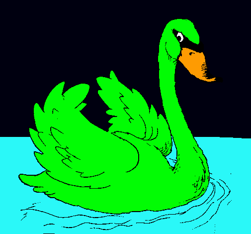 Cisne en el agua