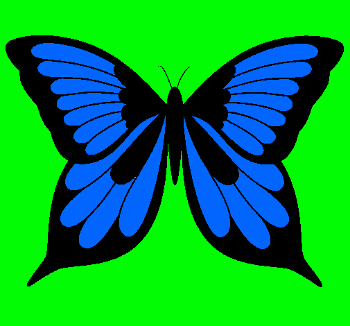 Mariposa