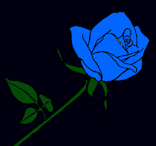 Rosa