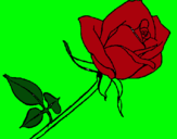 Dibujo Rosa pintado por jass