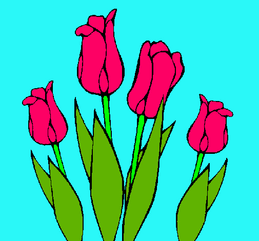 Tulipanes