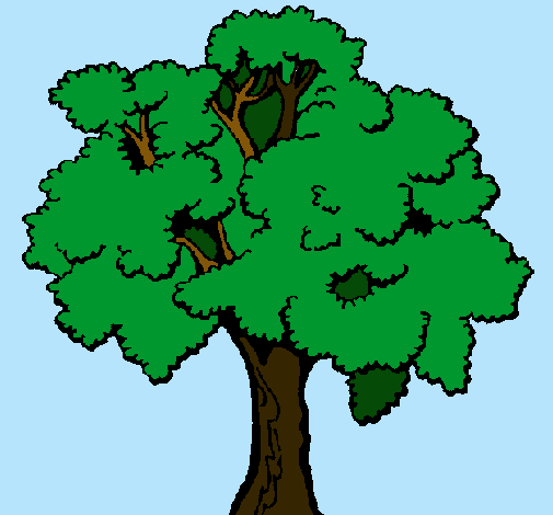 Árbol