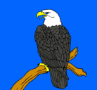 Dibujo Águila en una rama pintado por TXIKI