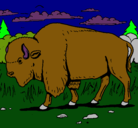 Dibujo Búfalo  pintado por critina