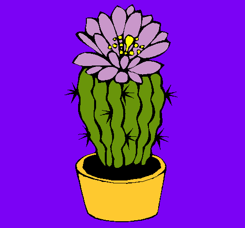 Cactus con flor