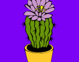 Dibujo Cactus con flor pintado por tapun