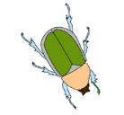 Dibujo Escarabajo pintado por octavio2