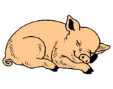 Dibujo Cerdo durmiendo pintado por AiiNhOiTaH