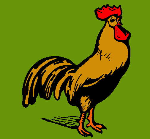 Dibujo Gallo gallardo pintado por anasusun