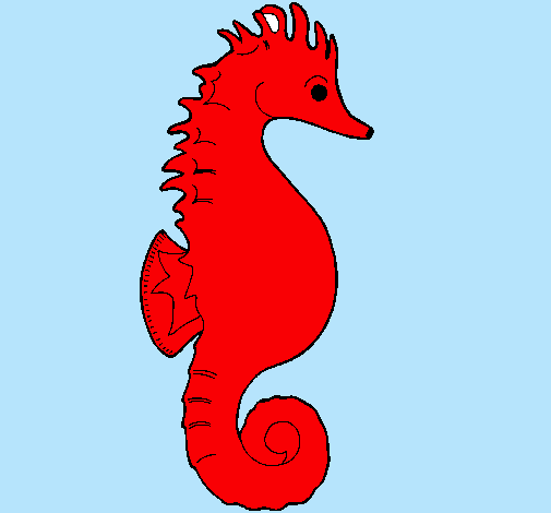 Caballito de mar