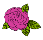 Dibujo Rosa pintado por maxcata