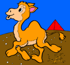 Dibujo Camello pintado por chaymae