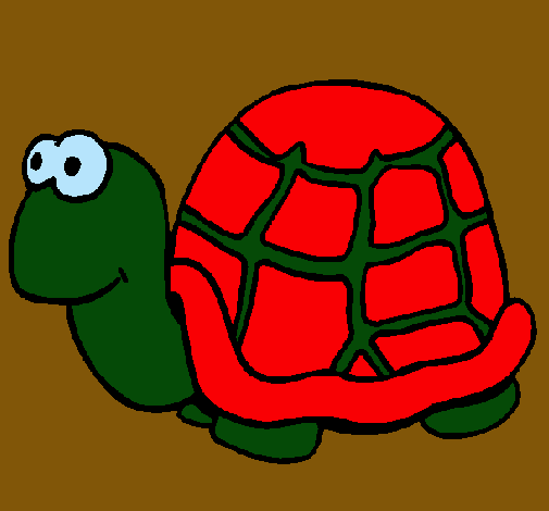 Tortuga