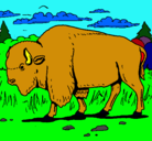Dibujo Búfalo  pintado por abraham58