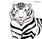 Dibujo Tigre pintado por edwinro