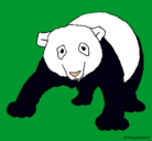 Dibujo Oso panda pintado por 000000000008