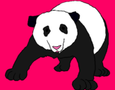 Dibujo Oso panda pintado por Maytejo