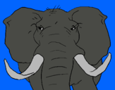 Dibujo Elefante africano pintado por guajololot
