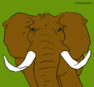 Dibujo Elefante africano pintado por HUGO33