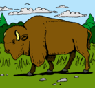Dibujo Búfalo  pintado por chumel 