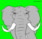 Dibujo Elefante africano pintado por FFra