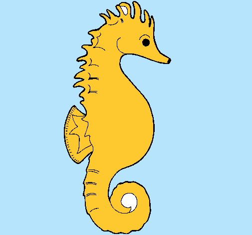 Caballito de mar