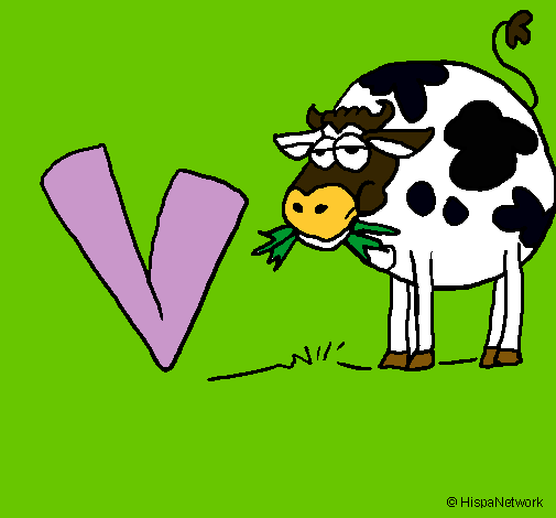 Vaca