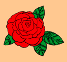 Dibujo Rosa pintado por anasusun