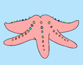 Dibujo Estrella de mar pintado por ceibo